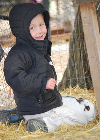 Ronan and Rabbit